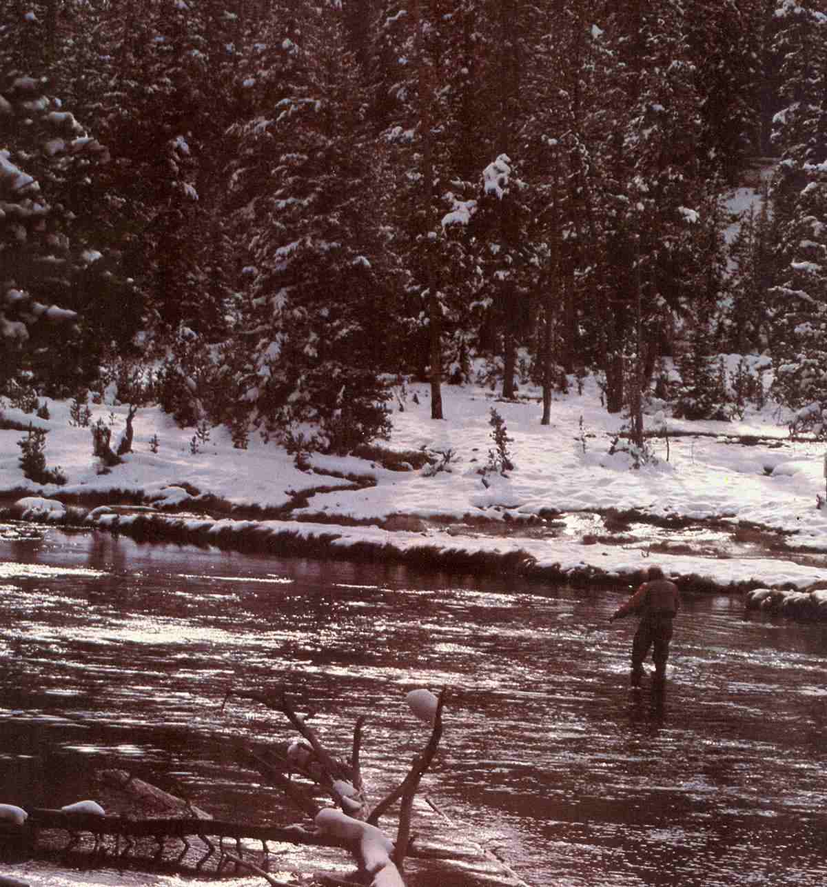 Fly Fisherman Throwback: Take a Temperature for Trout