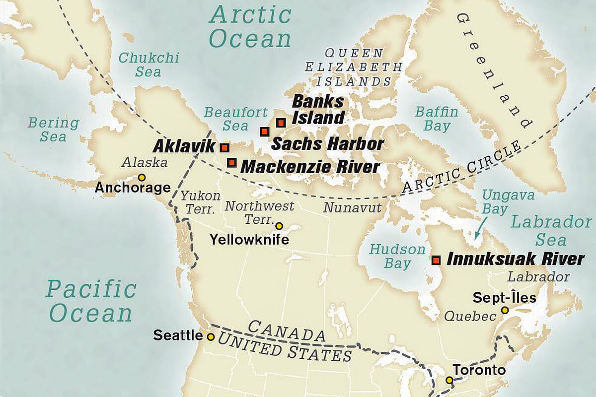 High Arctic Strays: Salmon in Strange Places